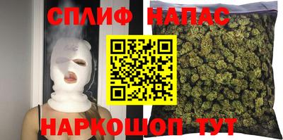трава Кандалакша