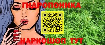 PSILOCYBIN Ирбит