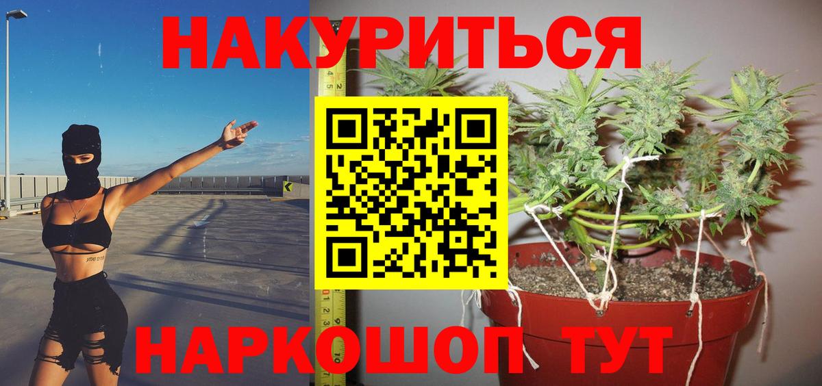 Бошки Шишки гибрид  Канабис AK-47  Вход с VPN  Ленинск-Кузнецкий  Канабис сатива 